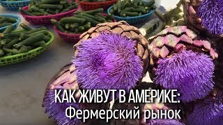 Как живут в Америке? Лос-Анджелес: фермерский рынок. В Америке не принято торговаться.