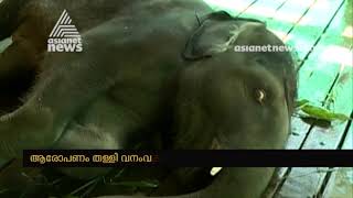 പിഞ്ചു അവശനിലയില്‍ ; ശരീരത്തില്‍ വ്രണങ്ങള്‍ ചികിത്സാപിഴവെന്ന് ആനപ്രേമികള്‍