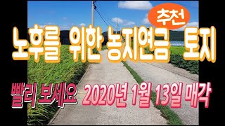 이것이 농지연금 추천토지이다.  2020년 1월13매각기일 [농지연금,반값농지]