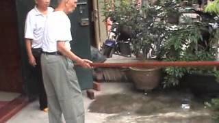 Weng Chun China Baan Jung Wing Chun GM Taam Pui Chyun