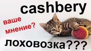 cashbery отзывы