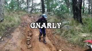 Honda XR250R XR400R XR600R trail ride.