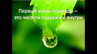 Ирина Дудник «Питание - и яд, и целитель!»