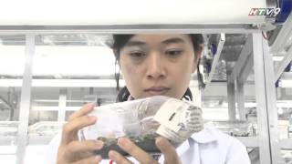 HTV - Dự Báo Kinh Tế - Số 4 - PHÁT TRIỂNN NÔNG NGHIỆP CÔNG NGHỆ CAO