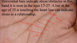 palm analysis, general analysis
