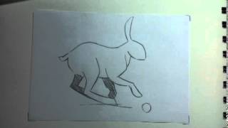 rabbit-run cycle