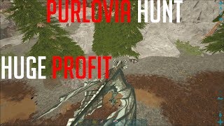Juicy Purlovia-Hunt | Solo Small Tribes #002