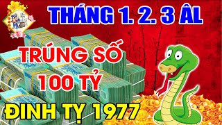 3 THÁNG ĐẦU NĂM 2022 ĐINH TỴ 1977,TÀI LỘC BÙNG NỔ, NỢ NẦN TRẢ SẠCH, ĐỔI ĐỜI GIÀU SANG KHỦNG KHIẾP.