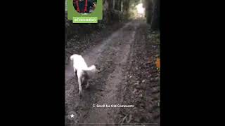 Periscope Example Of New Feature For Online Invited Guests to Live Stream via Audio Also
