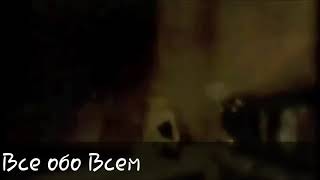 Юлия Началова