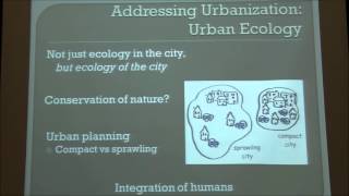Why Urban Ecology