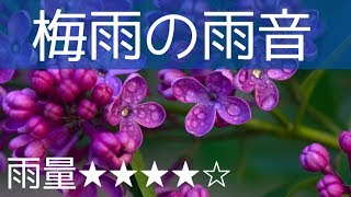 【癒しの音・立体音響】「梅雨の雨音（雨量★★★★☆）」雨のみ-2時間-！作業 睡眠 読書 瞑想 ヨガ 勉強用BGM