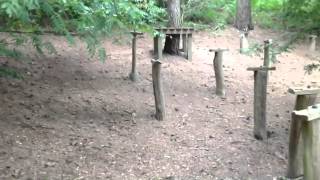 Slender-man real life game.