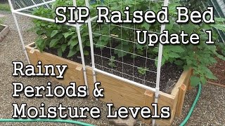 SIP Raised Bed (Update 1) + Self-Watering Containers + How-To Monitor Moisture Levels
