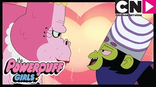 Les Super Nanas | Amours de singes | Cartoon Network