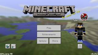 how to get a skin in minecraft pe 0.15.6