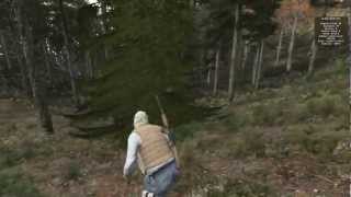Где найти хороший лут в Dayz
