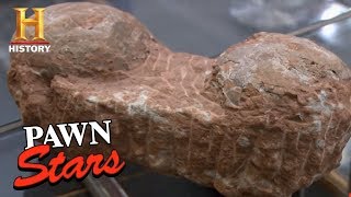 Pawn Stars: Dinosaur Eggs | History