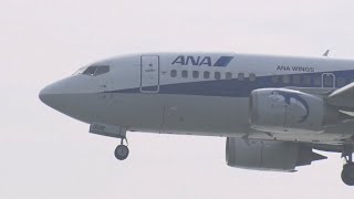 那覇空港 ANA WINGS (AKX/ANA) Boeing 737-500 JA306K 着陸 2014.3.31