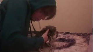1 Boy 2 Kittens Full Video (REACTION)