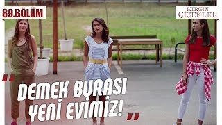 Kırgın Çiçekler’in yeni yuvası! - Kırgın Çiçekler 89.Bölüm (Yeni Sezon)