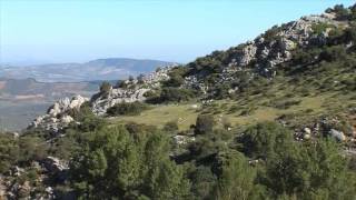 GRAN SENDA DE MÁLAGA