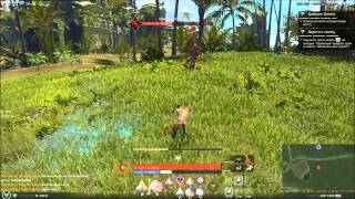 Skyforge - Остров Наори. Прогулка по местности.
