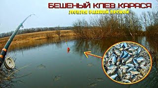 Экстремальная ловля карася ранней весной | БЕШЕНЫЙ КЛЕВ КАРАСЯ| Открыл купальный сезон)