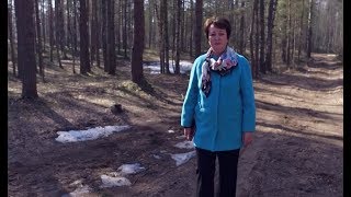 1320. Хлеб на каждый день. Побеждающему дам.