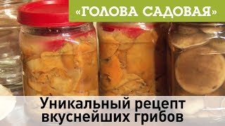 Голова садовая - Уникальный рецепт вкуснейших грибов