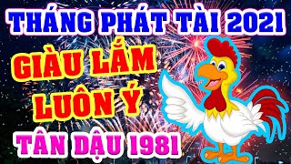 TÂN DẬU 1981 Gặp THÁNG PHÁT TÀI Năm 2021 ĐẾM TIỀN MỎI TAY, MUA NHÀ BẠC TỶ SẮM XE TRIỆU ĐÔ