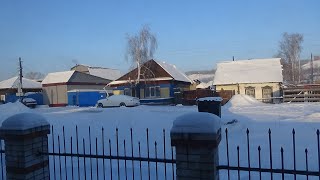 Морозы минус 30! Первые посевы томатов приходиться "ВЫПАРИВАТЬ"!