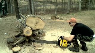 McCulloch Pro Mac 1000 (Partner P100) 100cc Vintage Chainsaw w 32" Bar