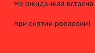 Не ожиданная встреча при снятии роеловки!