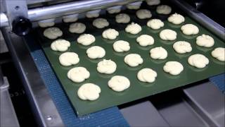 TMAK Kuru Pasta Makinaları - Diğer Kalıplar , Other Moulds
