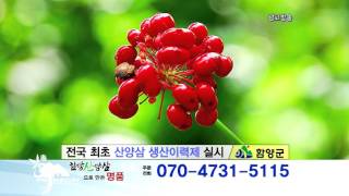 지리산 정기품은 함양 산양삼 영상