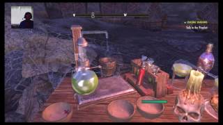 Skyrim online