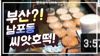부산 남포동!씨앗호떡