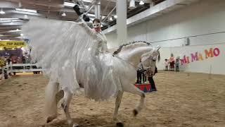 Kinder-Mitmach-Theater Löwenherz & Andrea Schmitz auf der Pferd & Jagd 2018