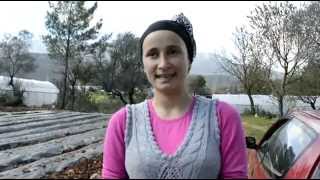 SEYDİKEMER KAYMAKAMLIĞI ÇİLEK PROJESİ