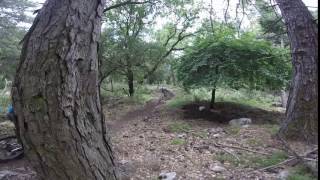 zaloggo trail2