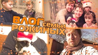 VLOG: ЗИМА ИЛИ ЛЕТО, У КОШКИ ЖИЗНЬ - МАЛИНА, НА РАБОТЕ, МИША ФОКУСНИК, ВЕСЕЛОЕ ДЕТСТВО. УКРАИНА КИЕВ