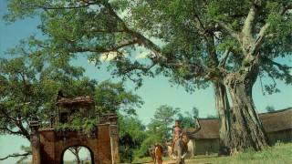 Que Huong - Saxophone Tran Manh Tuan