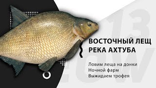 БЫСТРЫЙ ГАЙД | АХТУБА - ЛЕЩ ВОСТОЧНЫЙ | РУССКАЯ РЫБАЛКА 4