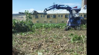 つる草退治　出張作業