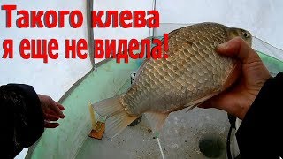 Ловля крупного Карася! Уловистые Мормышки /  Супер рыбалка 2018