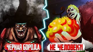 Черная борода НЕ ЧЕЛОВЕК?! || ВСЯ ПРАВДА О ДЬЯВОЛЬСКИХ ФРУКТАХ || ONE PIECE THEORY
