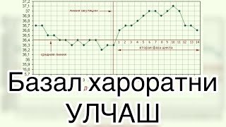 Теz hомиладор булишни хохласангиз буни куришингиз шарт