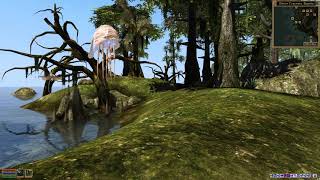 Morrowind, GSL Repack, Bitter Coast without grass