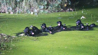 日軍特種兵出動！裝備最強潛水套裝，連夜偷襲游擊隊陣地，游擊隊根本防不住！ ️ 抗日